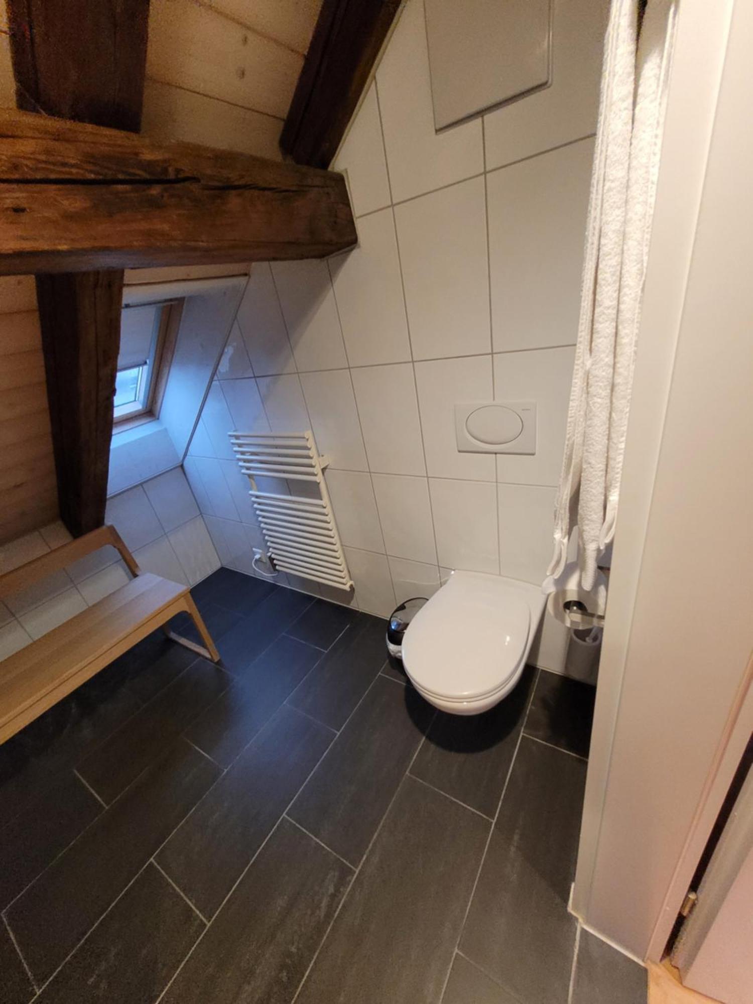 Le Bijou Lintheschergasse / Zurich Hb Room photo